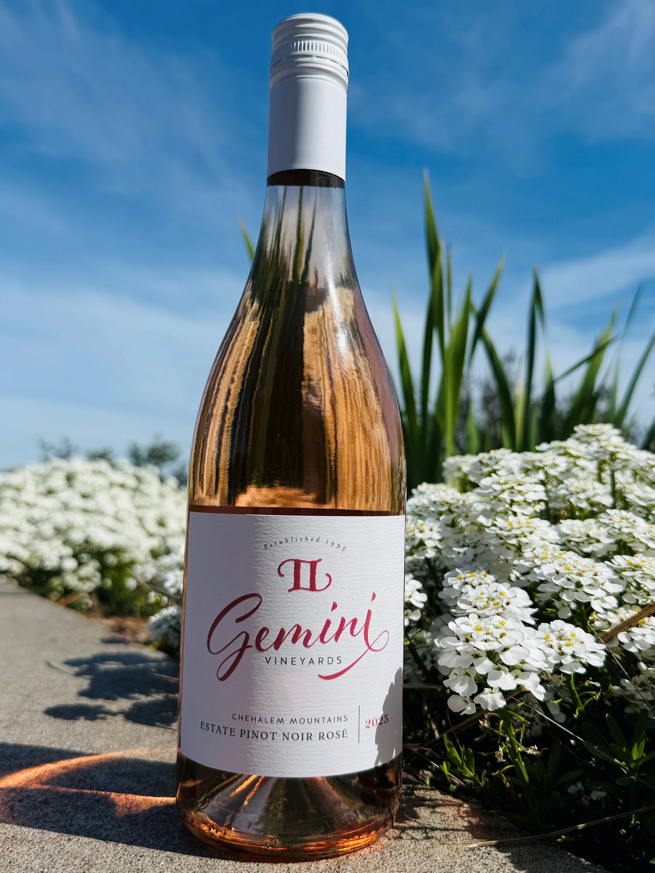 WINE — GEMINI VINEYARD